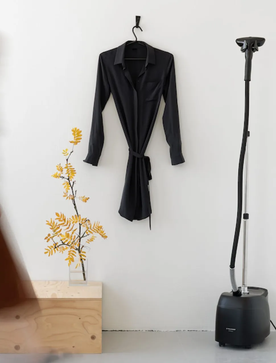 Cumulus No.3 Home Steamer