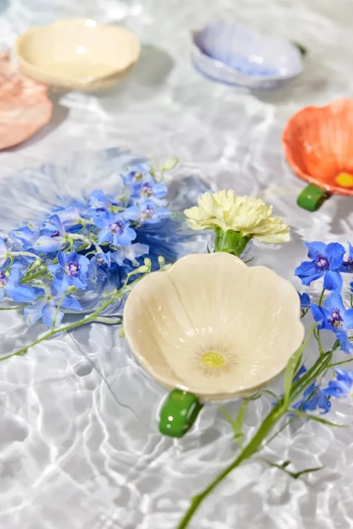 Cup Poppy