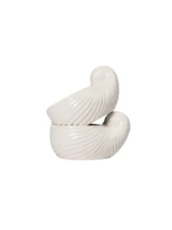 Cup Shelley 2pcs