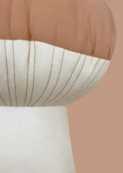 Cushion Boletus