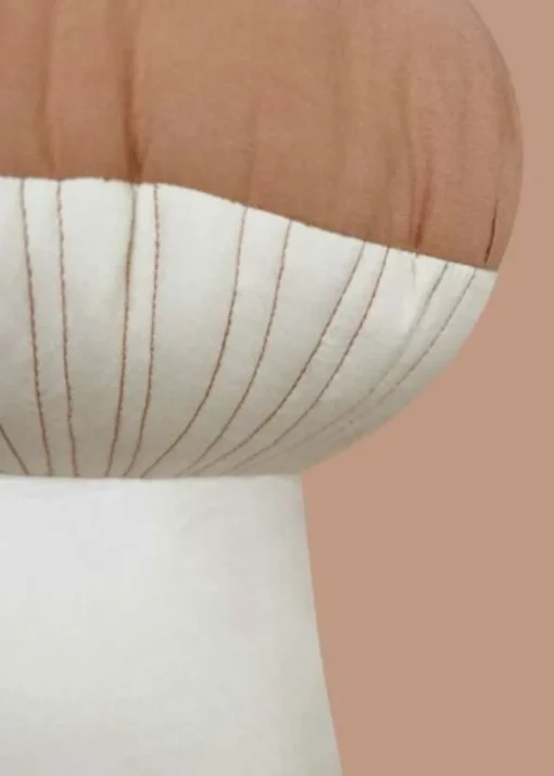 Cushion Boletus