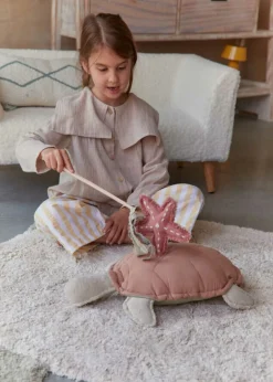Cushion Turtle