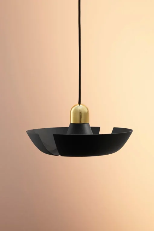 CYCNUS pendant