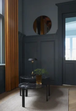 CYCNUS Table lamp