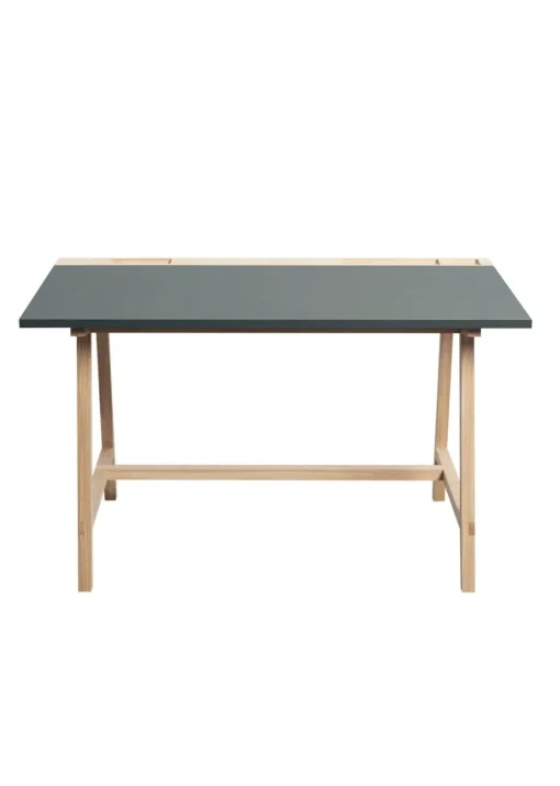 D1 Work Desk