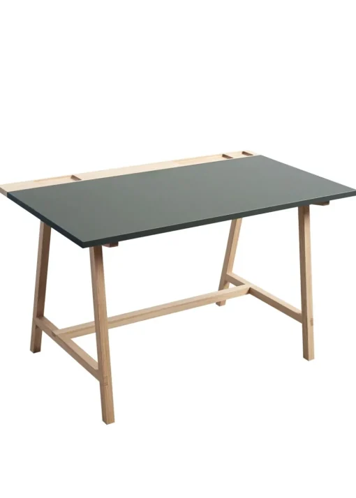 D1 Work Desk
