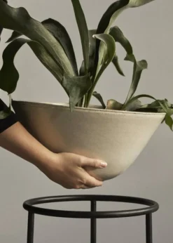 Daiza Planter