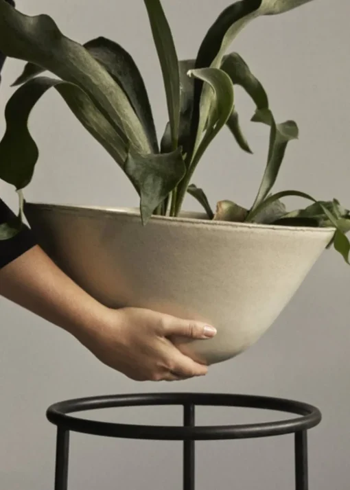Daiza Planter