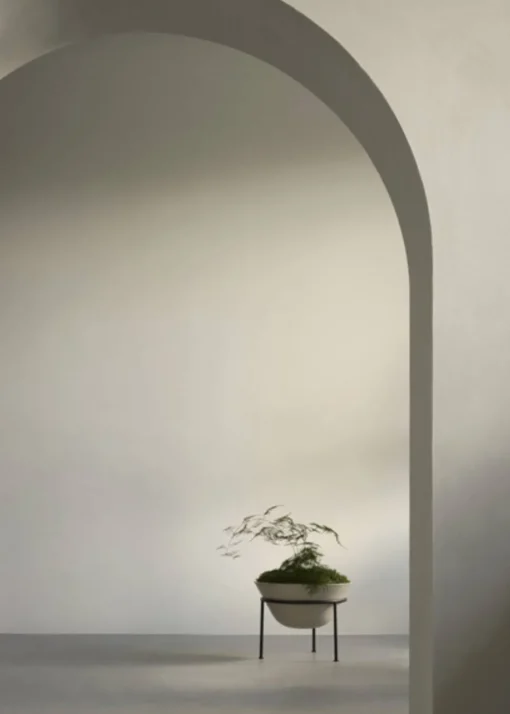 Daiza Planter