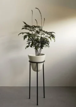 Daiza Planter