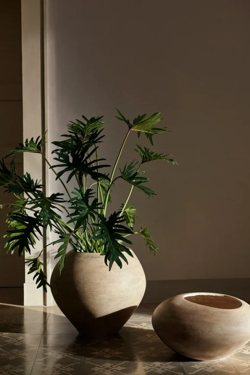 Dodu Pot