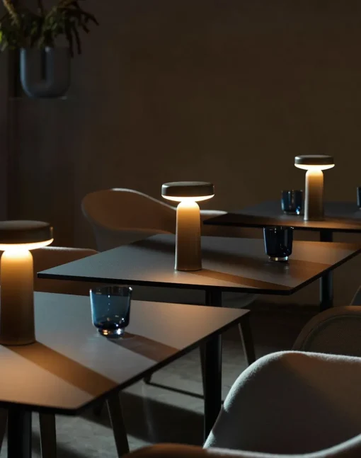 Ease Portable Lamp