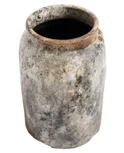 Echo