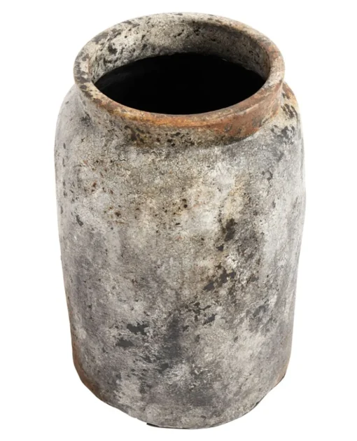 Echo