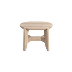 ELI Step Stool