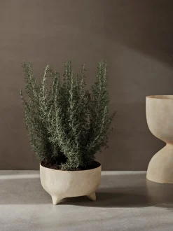 Evoke Pot