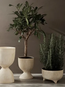 Evoke Pot