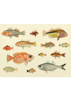 Fishes #3904H