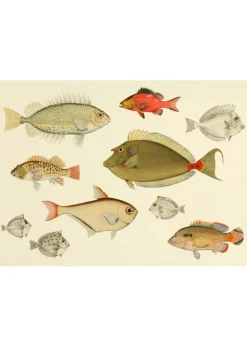 Fishes #3902H