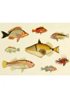 Fishes #3903H