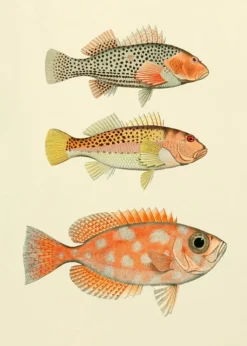 Fishes #3901P