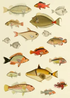 Fishes #3905P