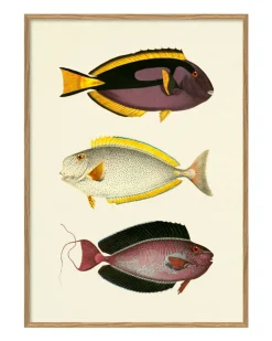 Fishes #3915P