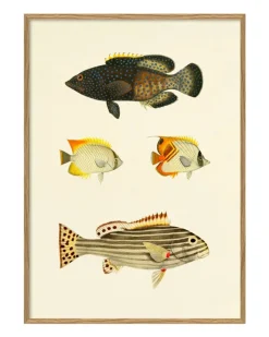 Fishes #3914P
