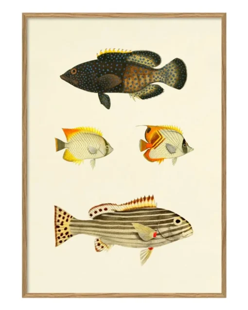 Fishes #3914P