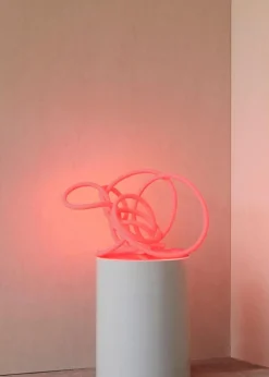 Flex Lamp / Flex Tube