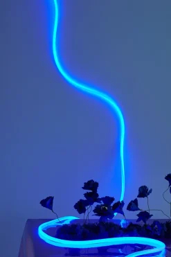 Flex Lamp / Flex Tube