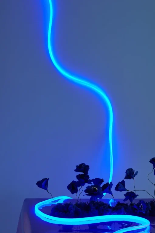 Flex Lamp / Flex Tube