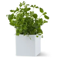 Flex Small Box
