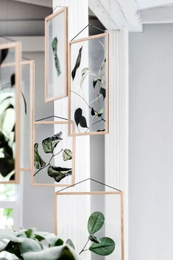 Floating Leaves - A3