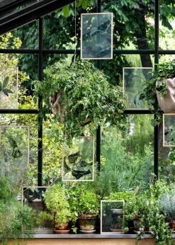 Floating Leaves - A3