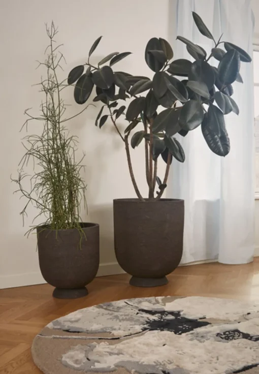 Floreo Rug