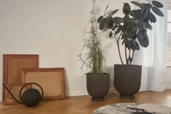 Floreo Rug
