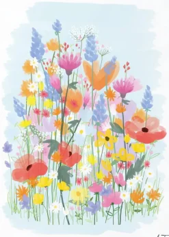 Flower Field No 3