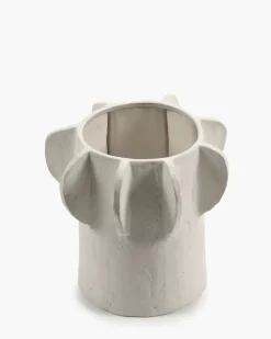 Flower Pot Molly