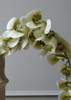 Flower stems