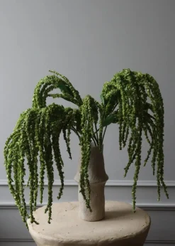 Flower stems