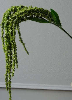 Flower stems
