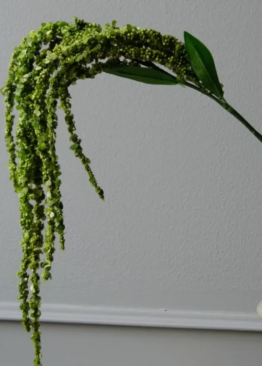 Flower stems