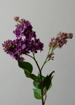 Flower stems