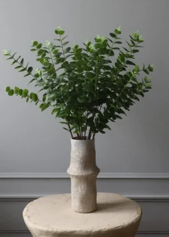 Flower stems