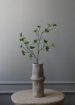 Flower stems