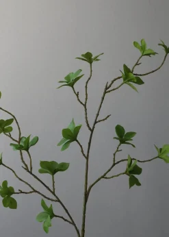Flower stems
