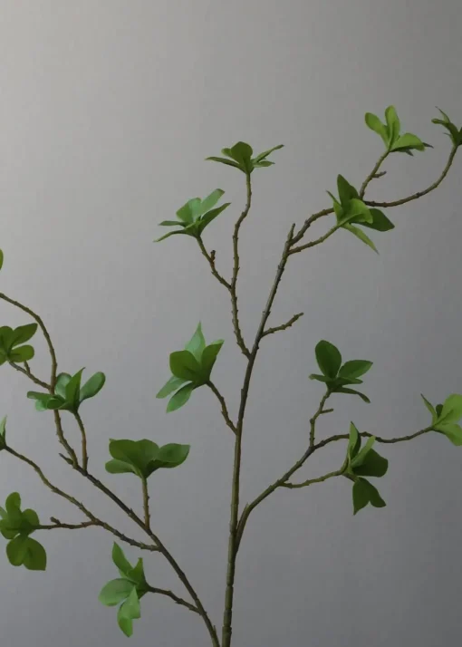 Flower stems