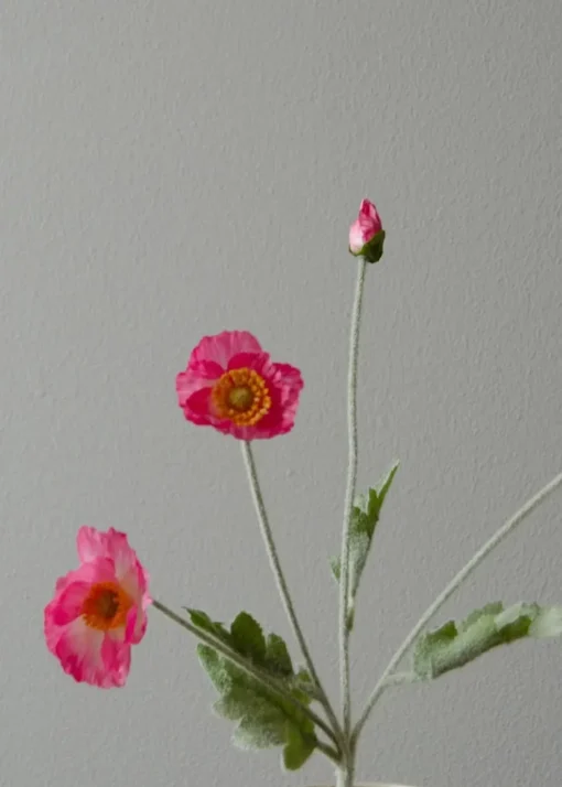 Flower stems