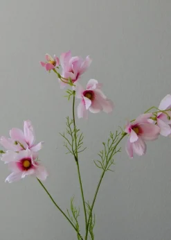 Flower stems
